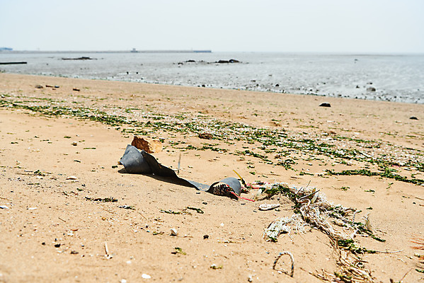 포토 JPG 주간 모래 바다 자연 해변 사람없음 야외 자연보호 환경 그린캠페인 환경오염 오염 쓰레기 사회이슈 수질오염 화성시 해양쓰레기 궁평해수욕장 국내포토 자연요소 캠페인 컨셉 보호 해수욕장 생태계 경기도 화성_경기도 파일형식
