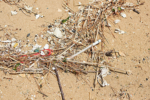 포토 JPG 주간 모래 바다 자연 해변 사람없음 야외 자연보호 환경 그린캠페인 환경오염 오염 쓰레기 사회이슈 수질오염 화성시 해양쓰레기 궁평해수욕장 국내포토 자연요소 캠페인 컨셉 보호 해수욕장 생태계 경기도 화성_경기도 파일형식