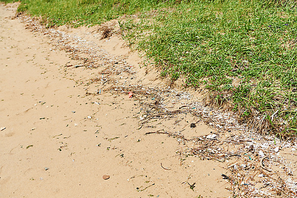 포토 JPG 주간 모래 바다 자연 해변 사람없음 야외 자연보호 환경 그린캠페인 환경오염 오염 쓰레기 사회이슈 수질오염 화성시 해양쓰레기 궁평해수욕장 국내포토 자연요소 캠페인 컨셉 보호 해수욕장 생태계 경기도 화성_경기도 파일형식