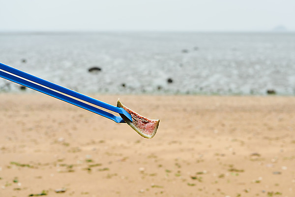 포토 JPG 주간 모래 바다 자연 집게 해변 사람없음 야외 자연보호 환경 그린캠페인 잡기 봉사 환경오염 오염 쓰레기 사회이슈 수질오염 화성시 해양쓰레기 궁평해수욕장 비치코밍 국내포토 자연요소 캠페인 컨셉 모션 도움 보호 해수욕장 생태계 경기도 화성_경기도 파일형식