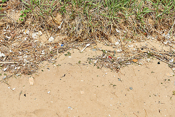 포토 JPG 주간 모래 바다 자연 해변 사람없음 야외 자연보호 환경 그린캠페인 환경오염 오염 쓰레기 사회이슈 수질오염 화성시 해양쓰레기 궁평해수욕장 국내포토 자연요소 캠페인 컨셉 보호 해수욕장 생태계 경기도 화성_경기도 파일형식
