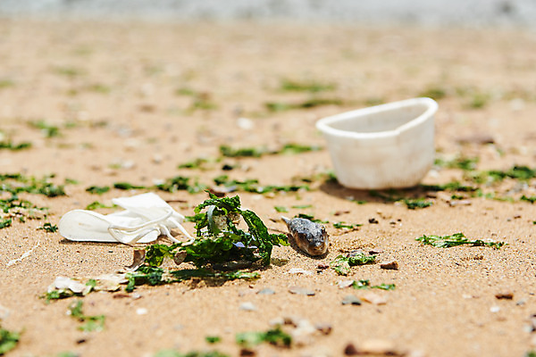 포토 JPG 주간 모래 바다 자연 어류 해변 사람없음 야외 자연보호 환경 그린캠페인 환경오염 오염 쓰레기 사회이슈 수질오염 화성시 해양쓰레기 궁평해수욕장 국내포토 자연요소 캠페인 컨셉 수중동물 보호 해수욕장 생태계 경기도 화성_경기도 파일형식