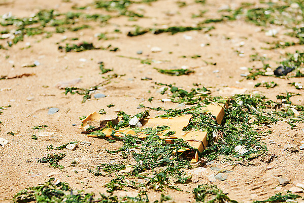 포토 JPG 주간 모래 바다 자연 해변 사람없음 야외 자연보호 환경 그린캠페인 환경오염 오염 쓰레기 사회이슈 수질오염 화성시 해양쓰레기 궁평해수욕장 국내포토 자연요소 캠페인 컨셉 보호 해수욕장 생태계 경기도 화성_경기도 파일형식