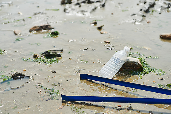 포토 JPG 주간 모래 바다 자연 집게 해변 사람없음 야외 자연보호 환경 그린캠페인 환경오염 오염 쓰레기 사회이슈 페트병 갯벌 수질오염 화성시 해양쓰레기 궁평해수욕장 국내포토 자연요소 캠페인 컨셉 보호 해수욕장 생태계 경기도 화성_경기도 병_담는 파일형식
