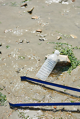 포토 JPG 주간 모래 바다 자연 집게 해변 사람없음 야외 자연보호 환경 그린캠페인 환경오염 오염 쓰레기 사회이슈 페트병 갯벌 수질오염 화성시 해양쓰레기 궁평해수욕장 국내포토 자연요소 캠페인 컨셉 보호 해수욕장 생태계 경기도 화성_경기도 병_담는 파일형식