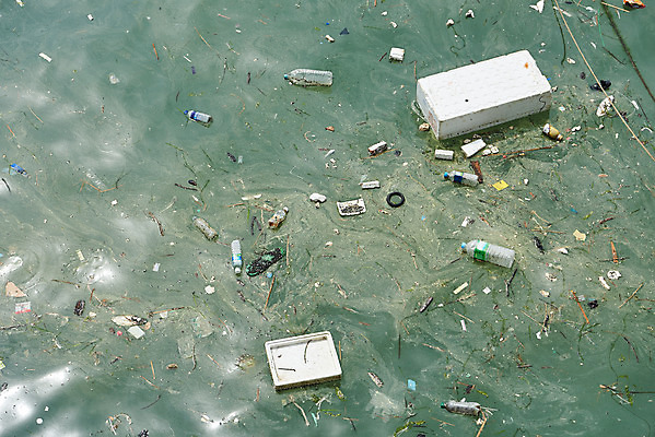 포토 JPG 주간 모래 바다 자연 해변 사람없음 야외 자연보호 환경 그린캠페인 환경오염 오염 쓰레기 사회이슈 수질오염 스티로폼 궁평항 해양쓰레기 국내포토 자연요소 캠페인 컨셉 항구 보호 생태계 경기도 파일형식