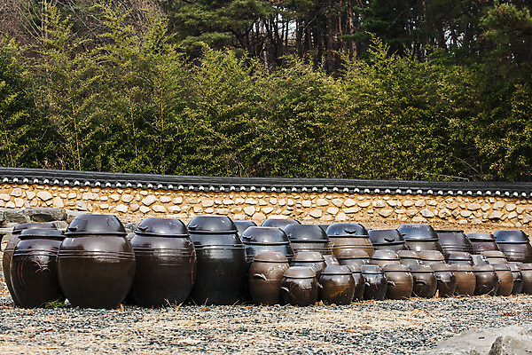 포토 JPG 주간 여행 한국 풍경 사람없음 야외 여러개 항아리 울산 국내여행 국내포토 자연요소 아시아 다수 도자기 파일형식