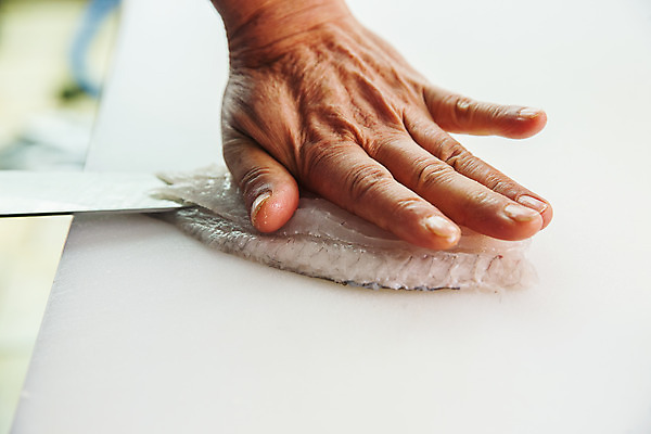 포토 JPG 주간 손 여행 한국 어류 풍경 야외 신체부위 생선회 회 경주 경상북도 감포 국내여행 물회 국내포토 자연요소 아시아 음식 사람 수중동물 경주_경상북도 경상도 파일형식