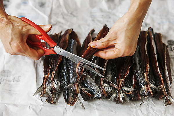 포토 JPG 주간 손 가위 야외 신체부위 잡기 자르기 경상북도 해산물 과메기 구룡포 꽁치 제철 포항 제철음식 국내포토 자연요소 음식 모션 문구용품 어류 사람 경상도 파일형식