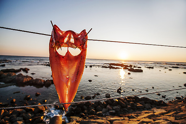 포토 JPG 주간 바다 여행 건조 한국 어류 풍경 사람없음 야외 경상북도 동해 건어물 국내여행 포항 호미곶 국내포토 자연요소 아시아 수중동물 경상도 파일형식