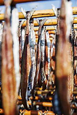 포토 JPG 주간 여행 건조 한국 매달리기 풍경 사람없음 야외 아웃포커스 소프트포커스 경상북도 해산물 특산물 과메기 구룡포 국내여행 꽁치 제철 포항 걸기 제철음식 국내포토 자연요소 아시아 음식 모션 촬영기법 어류 경상도 파일형식