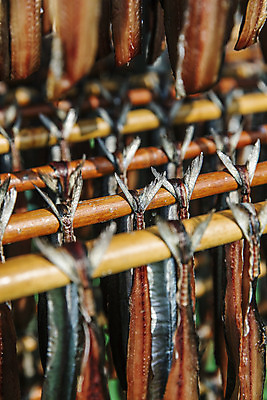 포토 JPG 주간 여행 건조 한국 매달리기 풍경 근접촬영 사람없음 야외 소프트포커스 경상북도 해산물 특산물 과메기 구룡포 국내여행 꽁치 제철 포항 걸기 제철음식 국내포토 자연요소 아시아 음식 뷰포인트 모션 촬영기법 어류 경상도 파일형식