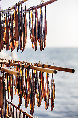 포토 JPG 주간 바다 여행 건조 한국 풍경 사람없음 야외 경상북도 해산물 특산물 과메기 구룡포 국내여행 꽁치 제철 포항 제철음식 국내포토 자연요소 아시아 음식 어류 경상도 파일형식