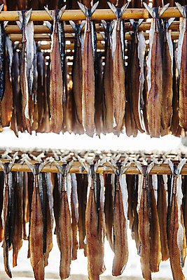 포토 JPG 주간 바다 여행 건조 한국 풍경 사람없음 야외 경상북도 해산물 특산물 과메기 구룡포 국내여행 꽁치 제철 포항 제철음식 국내포토 자연요소 아시아 음식 어류 경상도 파일형식