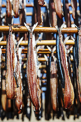 포토 JPG 주간 바다 여행 건조 한국 풍경 사람없음 야외 경상북도 해산물 특산물 과메기 구룡포 국내여행 꽁치 제철 포항 제철음식 국내포토 자연요소 아시아 음식 어류 경상도 파일형식