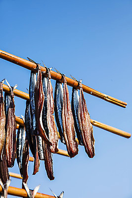 포토 JPG 주간 로우앵글 여행 하늘 건조 한국 매달리기 풍경 사람없음 야외 경상북도 해산물 대나무 특산물 과메기 구룡포 국내여행 꽁치 제철 포항 걸기 제철음식 국내포토 자연요소 나무 아시아 음식 뷰포인트 모션 어류 경상도 파일형식