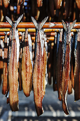 포토 JPG 주간 바다 여행 건조 한국 매달리기 풍경 사람없음 야외 아웃포커스 경상북도 해산물 특산물 과메기 구룡포 국내여행 꽁치 제철 포항 걸기 제철음식 국내포토 자연요소 아시아 음식 모션 촬영기법 어류 경상도 파일형식