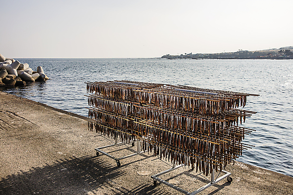포토 JPG 주간 바다 여행 건조 한국 매달리기 그림자 풍경 사람없음 야외 경상북도 해산물 특산물 건조대 과메기 구룡포 국내여행 꽁치 제철 포항 걸기 제철음식 국내포토 자연요소 아시아 음식 모션 어류 경상도 파일형식