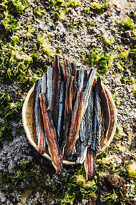 포토 JPG 주간 여행 건조 한국 풍경 사람없음 야외 바구니 경상북도 해산물 담기 특산물 과메기 구룡포 국내여행 꽁치 제철 포항 제철음식 국내포토 자연요소 아시아 음식 모션 어류 경상도 파일형식