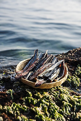 포토 JPG 주간 바다 여행 건조 한국 풍경 사람없음 야외 바구니 경상북도 해산물 담기 특산물 과메기 구룡포 국내여행 꽁치 제철 포항 제철음식 국내포토 자연요소 아시아 음식 모션 어류 경상도 파일형식
