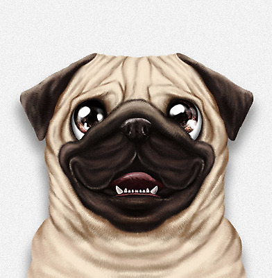 PSD 동물 한마리 반려견 일러스트 사람없음 반려동물 귀여움 흰색 개 강아지 소형견 반려 증명사진 퍼그 국내일러스트 1 컬러 컨셉 포유류 파일형식