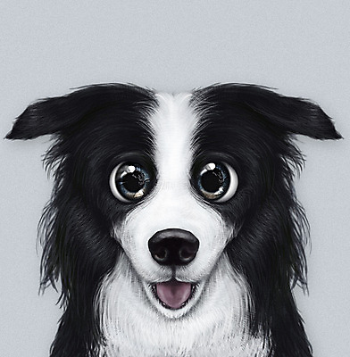 PSD 동물 한마리 반려견 일러스트 사람없음 반려동물 귀여움 회색 개 강아지 보더콜리 반려 증명사진 국내일러스트 1 컬러 컨셉 포유류 콜리 파일형식