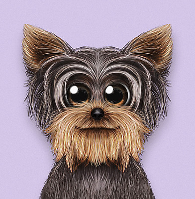 PSD 동물 한마리 반려견 일러스트 사람없음 반려동물 귀여움 보라색 개 강아지 요크셔테리어 소형견 반려 증명사진 국내일러스트 1 컬러 컨셉 포유류 테리어 파일형식