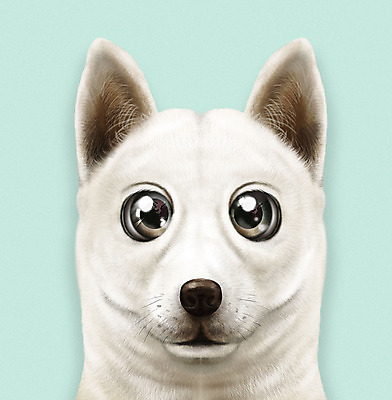 PSD 동물 한마리 반려견 하늘색 일러스트 사람없음 반려동물 귀여움 개 강아지 진돗개 반려 증명사진 국내일러스트 1 컨셉 포유류 파란색 파일형식