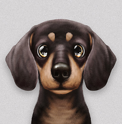 PSD 동물 한마리 반려견 일러스트 사람없음 반려동물 귀여움 회색 개 강아지 닥스훈트 소형견 반려 증명사진 국내일러스트 1 컬러 컨셉 포유류 파일형식