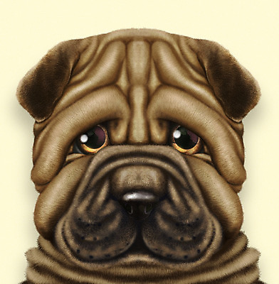 PSD 동물 한마리 반려견 일러스트 사람없음 반려동물 노란색 귀여움 개 강아지 반려 샤페이 증명사진 국내일러스트 1 컬러 컨셉 포유류 파일형식