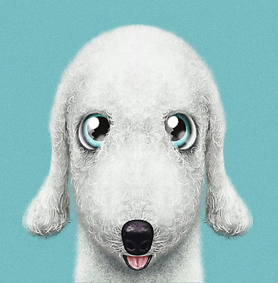 PSD 동물 한마리 반려견 일러스트 사람없음 파란색 반려동물 귀여움 개 강아지 반려 증명사진 베들링턴테리어 국내일러스트 1 컬러 컨셉 포유류 테리어 파일형식