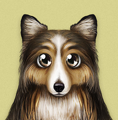 PSD 동물 한마리 반려견 일러스트 사람없음 연두색 반려동물 귀여움 개 강아지 대형견 콜리 반려 증명사진 국내일러스트 1 컨셉 포유류 초록색 파일형식