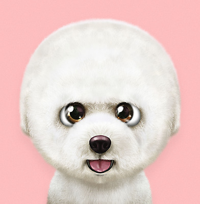 PSD 동물 한마리 반려견 분홍색 일러스트 사람없음 반려동물 귀여움 개 강아지 소형견 반려 증명사진 비숑프리제 국내일러스트 1 컬러 컨셉 포유류 파일형식