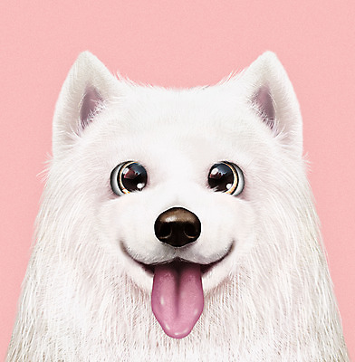 PSD 동물 한마리 반려견 분홍색 일러스트 사람없음 반려동물 귀여움 개 강아지 사모예드 반려 증명사진 국내일러스트 1 컬러 컨셉 포유류 파일형식