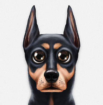 PSD 동물 한마리 반려견 일러스트 사람없음 반려동물 귀여움 흰색 강아지 반려 증명사진 도베르만핀셔 국내일러스트 1 컬러 컨셉 개 파일형식 핀셔