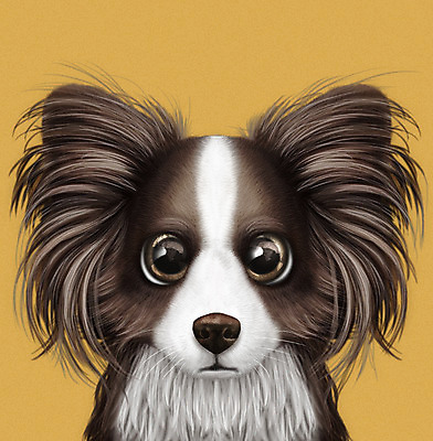 PSD 동물 한마리 반려견 일러스트 사람없음 반려동물 노란색 귀여움 개 강아지 소형견 반려 증명사진 파피용 국내일러스트 1 컬러 컨셉 포유류 파일형식