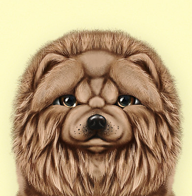 PSD 동물 한마리 반려견 일러스트 사람없음 반려동물 노란색 귀여움 개 강아지 차우차우 반려 증명사진 국내일러스트 1 컬러 컨셉 포유류 파일형식