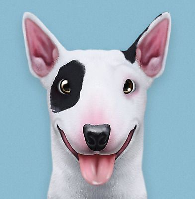 PSD 동물 한마리 반려견 일러스트 사람없음 파란색 반려동물 귀여움 개 강아지 불테리어 반려 증명사진 국내일러스트 1 컬러 컨셉 포유류 테리어 파일형식