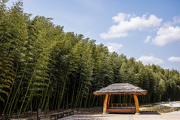 포토 JPG 주간 구름 하늘 한국 풍경 사람없음 야외 관광지 숲 대나무 정자 대나무숲 울산 국내여행 십리대숲 태화강국가정원 국내포토 자연요소 나무 건축물 아시아 여행 정원 파일형식