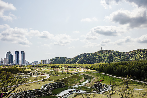 포토 JPG 주간 구름 하늘 한국 풍경 사람없음 야외 관광지 숲 대나무 대나무숲 울산 국내여행 십리대숲 태화강국가정원 국내포토 자연요소 나무 아시아 여행 정원 파일형식