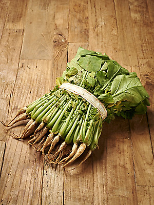 포토 JPG 스튜디오촬영 음식 사람없음 농작물 갈색 신선 유기농 기호식품 열무 나무배경 국내포토 웰빙 컬러 백그라운드 농업 실내 무 파일형식