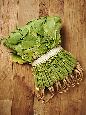 포토 JPG 스튜디오촬영 음식 사람없음 농작물 하이앵글 갈색 신선 유기농 기호식품 열무 플랫레이 나무배경 국내포토 웰빙 뷰포인트 컬러 백그라운드 농업 실내 플랫 무 파일형식