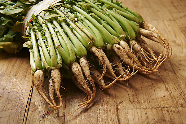 포토 JPG 스튜디오촬영 음식 사람없음 농작물 갈색 신선 유기농 기호식품 열무 나무배경 국내포토 웰빙 컬러 백그라운드 농업 실내 무 파일형식