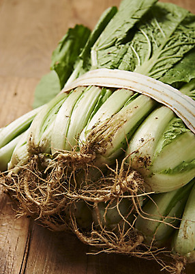 포토 JPG 스튜디오촬영 무료이미지 음식 사람없음 농작물 갈색 신선 유기농 기호식품 나무배경 국내포토 웰빙 컬러 백그라운드 농업 실내 파일형식 무료콘텐츠