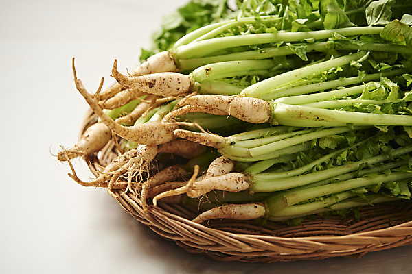 포토 JPG 스튜디오촬영 음식 근접촬영 사람없음 농작물 신선 흰배경 유기농 기호식품 열무 라탄바구니 국내포토 웰빙 뷰포인트 백그라운드 농업 실내 바구니 흰색 무 파일형식