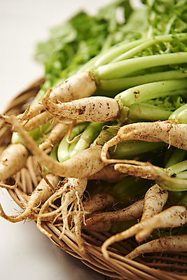 포토 JPG 스튜디오촬영 음식 근접촬영 사람없음 농작물 신선 흰배경 유기농 기호식품 열무 라탄바구니 국내포토 웰빙 뷰포인트 백그라운드 농업 실내 바구니 흰색 무 파일형식