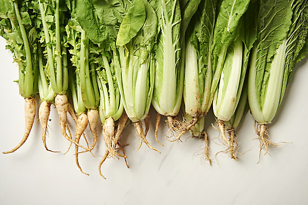 포토 JPG 스튜디오촬영 음식 사람없음 농작물 하이앵글 신선 흰배경 유기농 기호식품 열무김치 플랫레이 국내포토 웰빙 뷰포인트 백그라운드 농업 김치 실내 흰색 플랫 파일형식