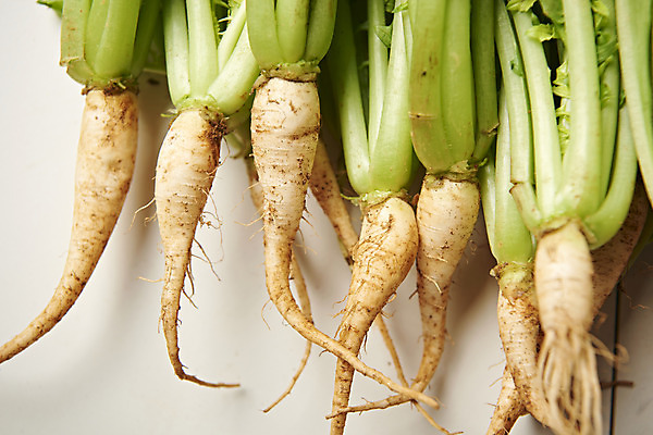 포토 JPG 스튜디오촬영 음식 사람없음 농작물 하이앵글 신선 흰배경 유기농 기호식품 열무김치 플랫레이 국내포토 웰빙 뷰포인트 백그라운드 농업 김치 실내 흰색 플랫 파일형식