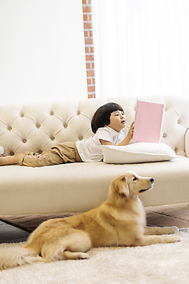 포토 JPG 전신 한마리 남자 행복 반려견 어린이 엎드리기 쿠션 거실 한명 옆모습 책 반려동물 소파 독서 화목 다정 한국인 골든리트리버 강아지 즐거움 반려 소년한명만 국내포토 동물 1 감정 뷰포인트 컨셉 의자 모션 사람 동양인 개 리트리버 남자한명만 소년만 파일형식