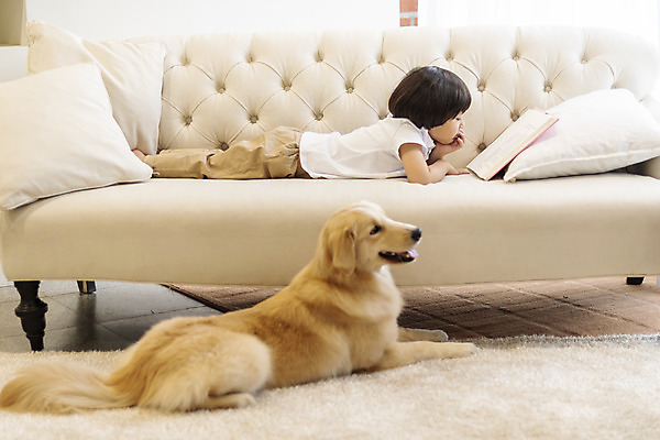 포토 JPG 전신 한마리 남자 행복 반려견 어린이 엎드리기 쿠션 거실 한명 옆모습 책 반려동물 소파 독서 화목 다정 한국인 골든리트리버 강아지 즐거움 반려 소년한명만 국내포토 동물 1 감정 뷰포인트 컨셉 의자 모션 사람 동양인 개 리트리버 남자한명만 소년만 파일형식